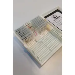 15605 Struktura biljne stanice