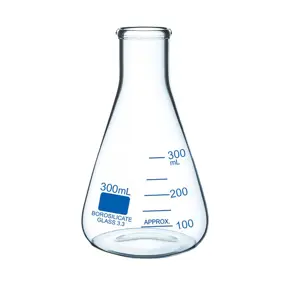 2064140/6A Erlenmayerova tikvica 300 ml