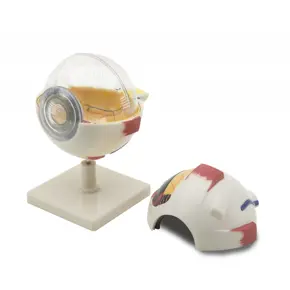 GD0307 Oko