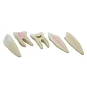 GD0311 Set zubi