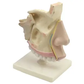 GD0502 Nos