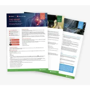 Prošireni paket licenci za škole EDUVERSE+ (dodatno EduverseAI, WildWorld, STEAM3D i CareerHub) - 3 godine